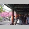ifefcxinio0238.jpg