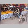 ifefcxinio0324.jpg