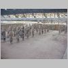 ifefcxinio0520.jpg
