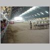ifefcxinio0523.jpg