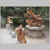 ifefcxinio0576.jpg